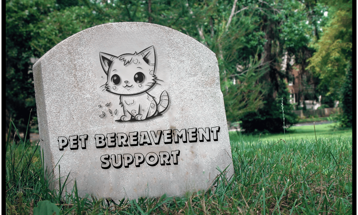 Pet Bereavement Support in the UK Pet Bereavement Support in the UK