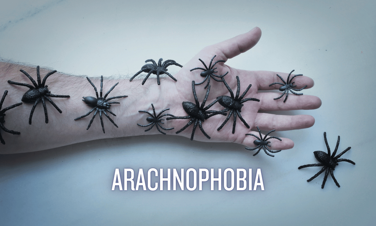 Arachnophobia Disease Overcoming the Fear of Spiders